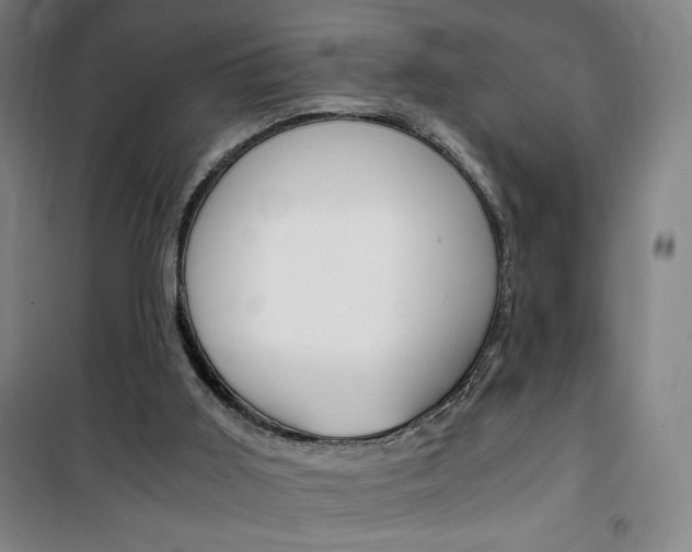 X0000101710011200807101419
