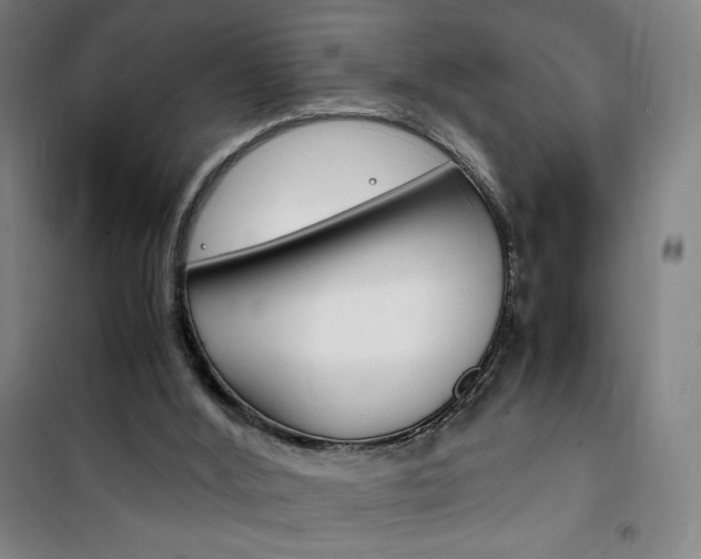 X0000101710012200807101419