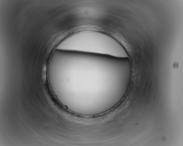 X0000101710014200807101419