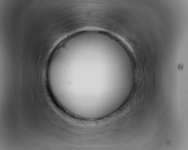 X0000101710015200807101419