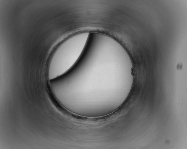 X0000101710016200807101419
