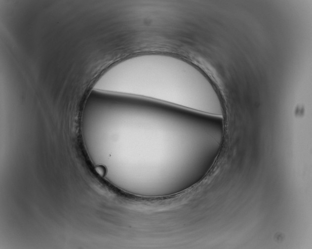 X0000101710017200807101419