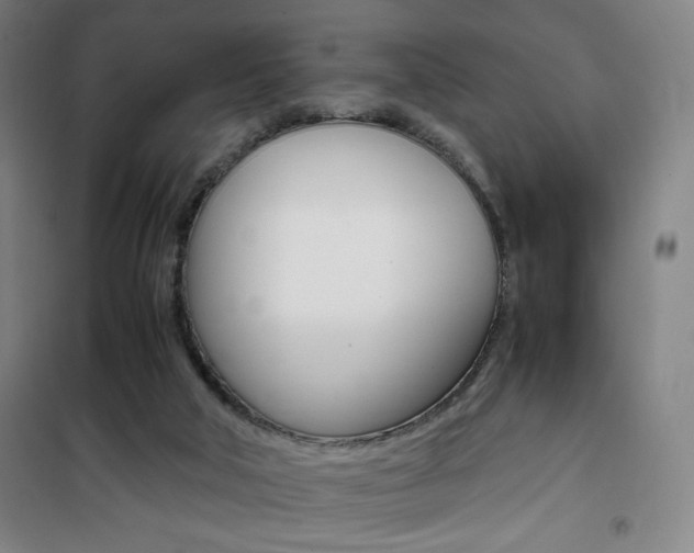 X0000101710018200807101419