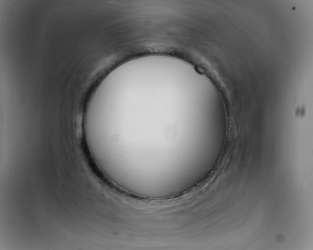 X0000101710019200807101419