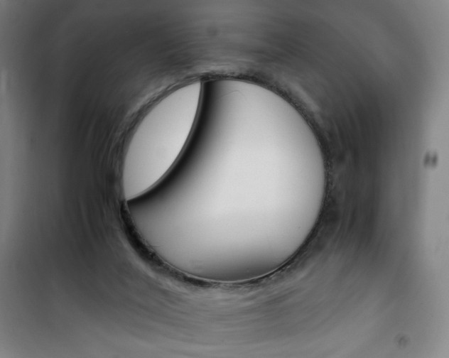 X0000101710020200807101419