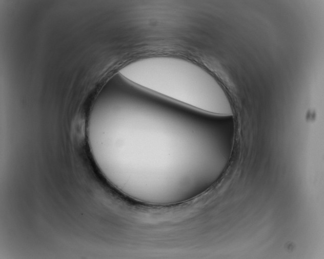 X0000101710021200807101419