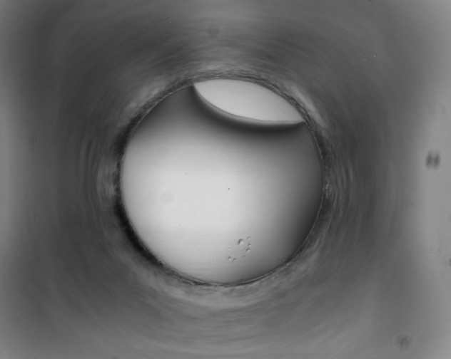 X0000101710023200807101418