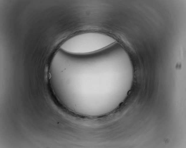 X0000101710024200807101418
