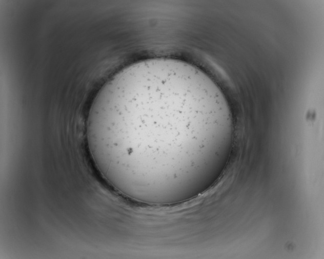 X0000101710025200807101418