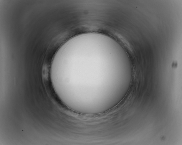 X0000101710026200807101418