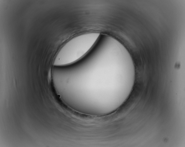 X0000101710028200807101418