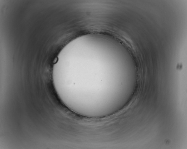 X0000101710029200807101418