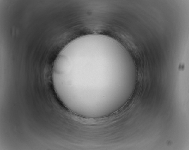 X0000101710030200807101418