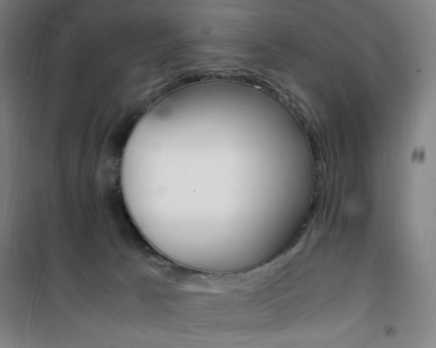 X0000101710033200807101418