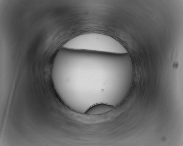 X0000101710034200807101418