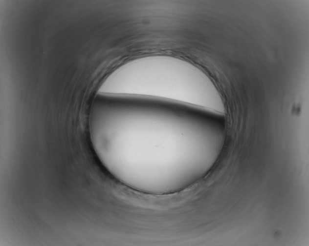 X0000101710035200807101418