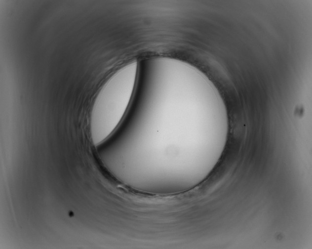 X0000101710036200807101418
