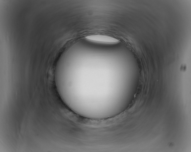 X0000101710037200807101418