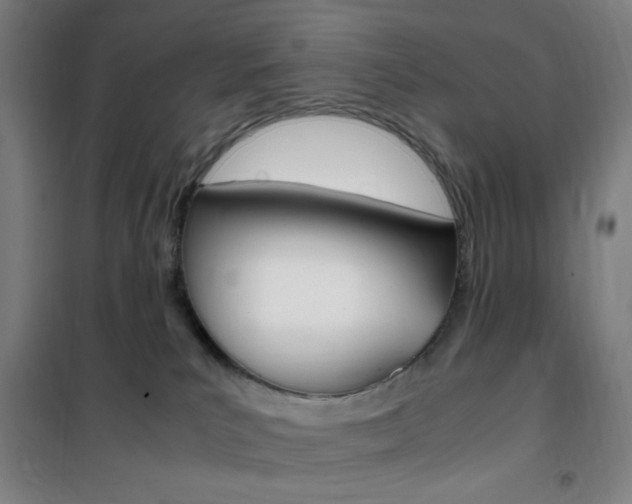 X0000101710039200807101418