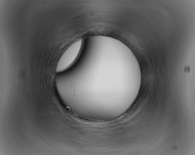 X0000101710040200807101418