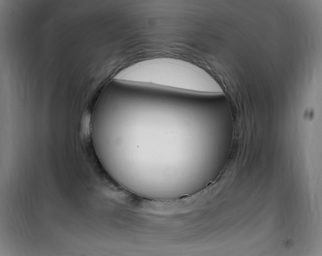 X0000101710041200807101418