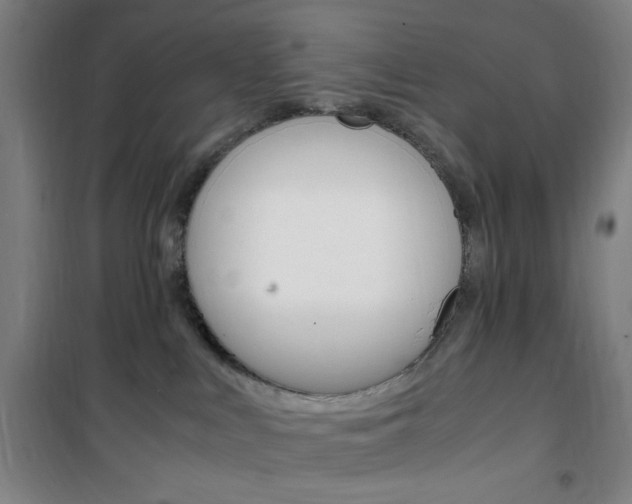 X0000101710043200807101418