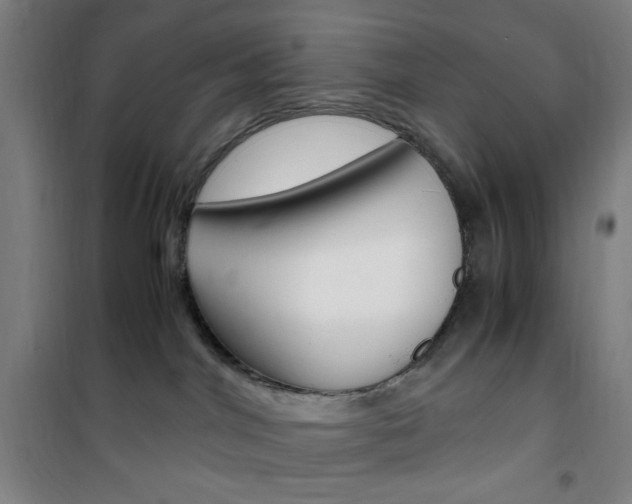 X0000101710044200807101418