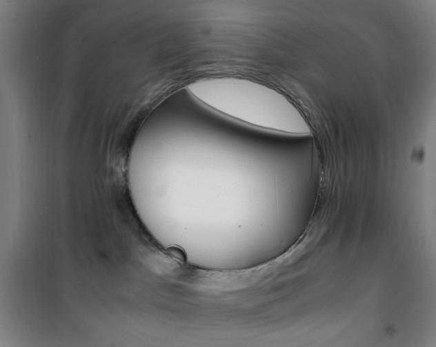 X0000101710045200807101418
