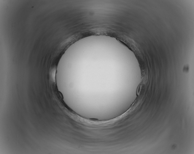 X0000101710047200807101418
