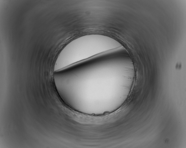 X0000101710048200807101418