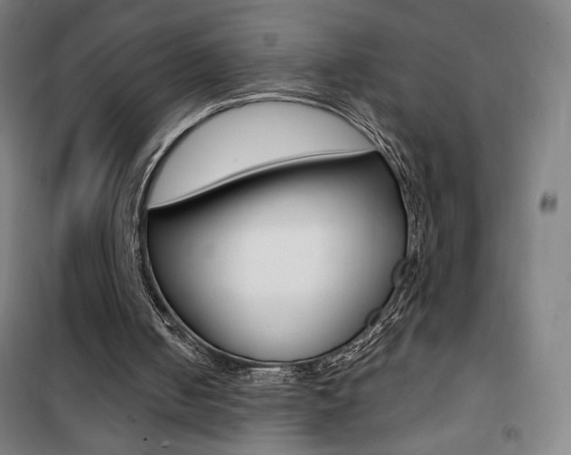 X0000101710050200807101417