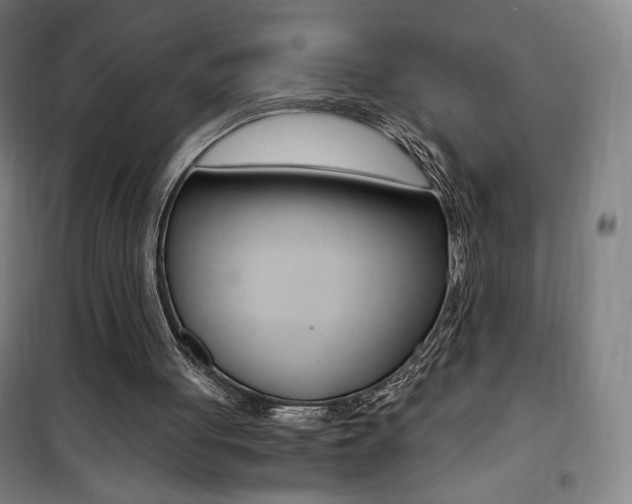 X0000101710051200807101417