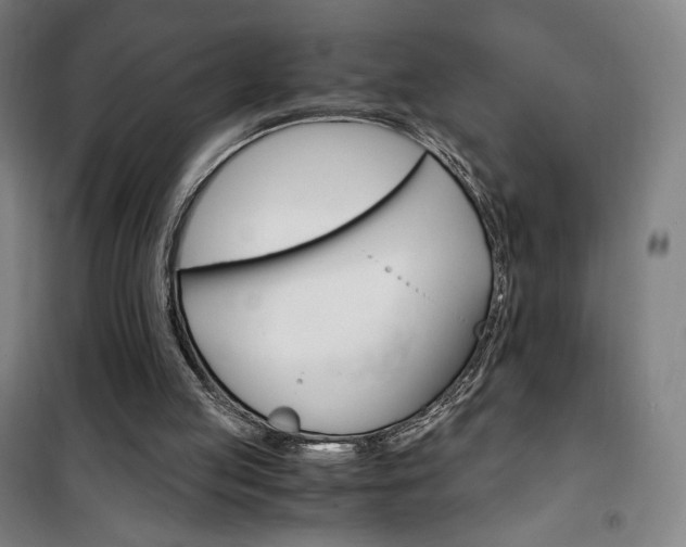 X0000101710053200807101417