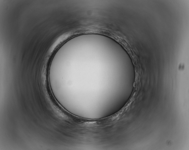 X0000101710054200807101417
