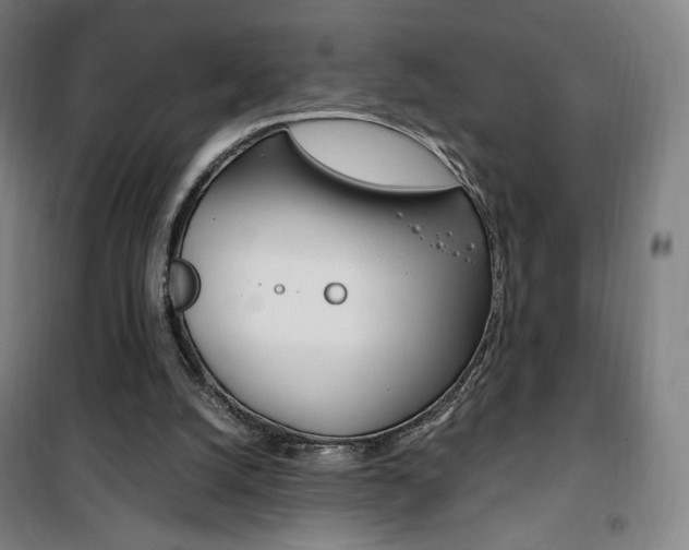 X0000101710056200807101418