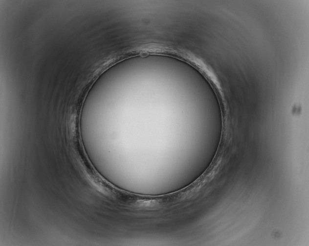 X0000101710057200807101418