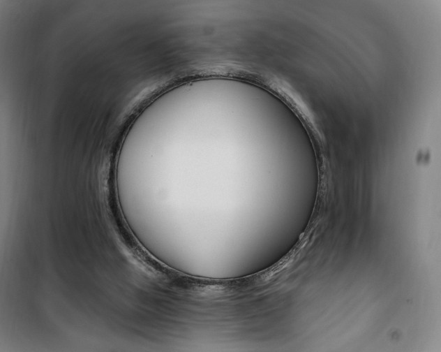 X0000101710058200807101418