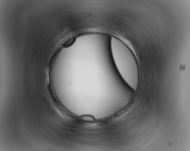 X0000101710061200807101418