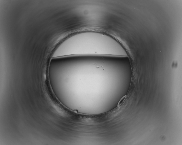 X0000101710062200807101418