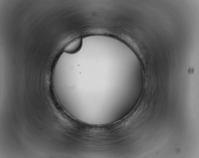 X0000101710063200807101418