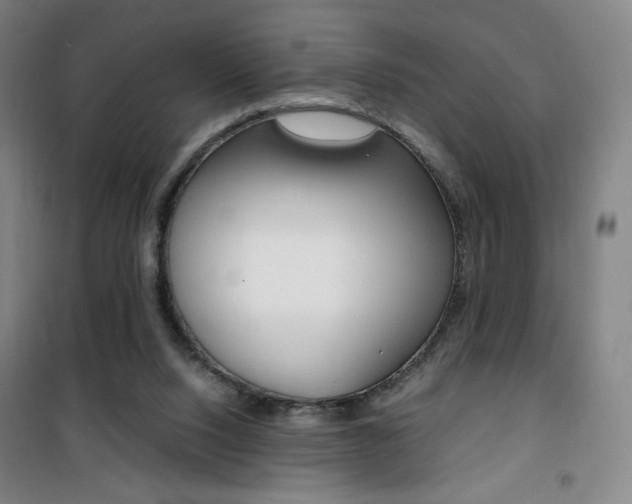 X0000101710064200807101418