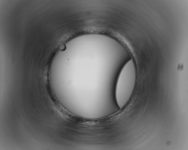 X0000101710065200807101418