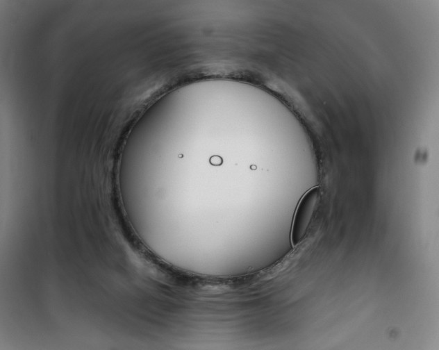 X0000101710066200807101418
