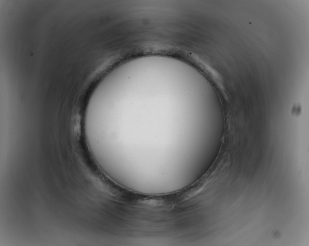 X0000101710067200807101418