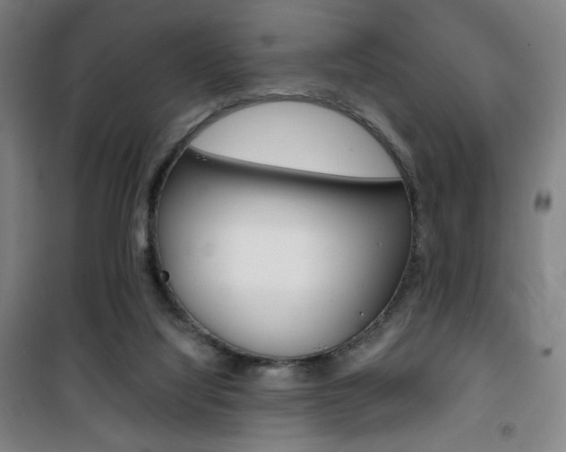 X0000101710068200807101418