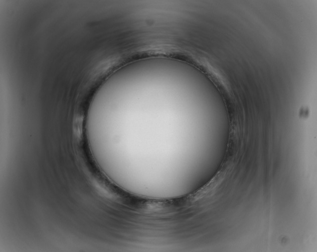 X0000101710070200807101418