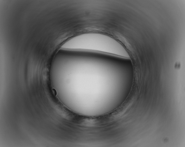 X0000101710071200807101418