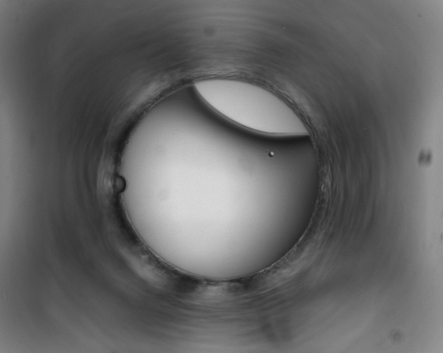 X0000101710072200807101418