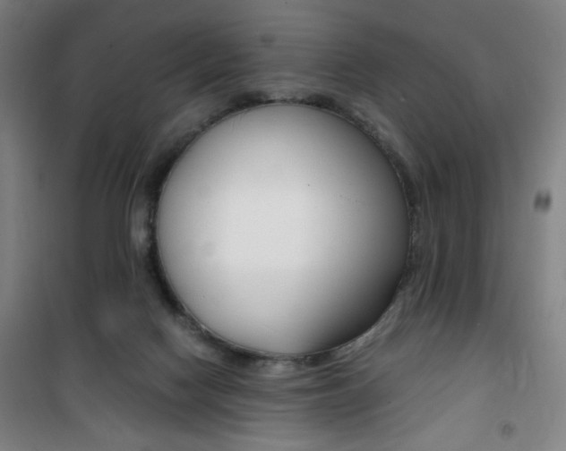 X0000101710074200807101418