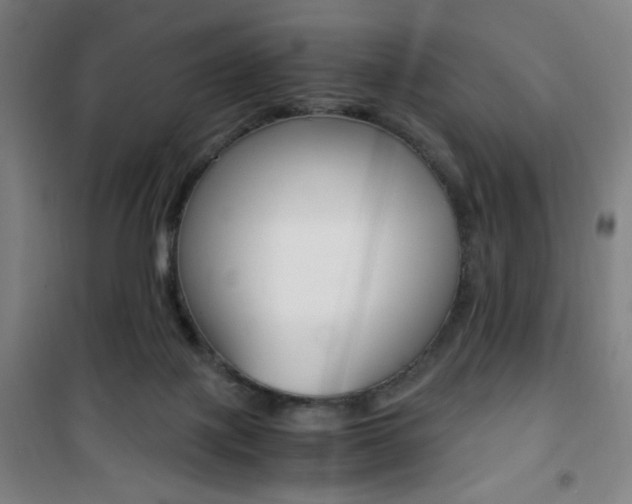 X0000101710075200807101418